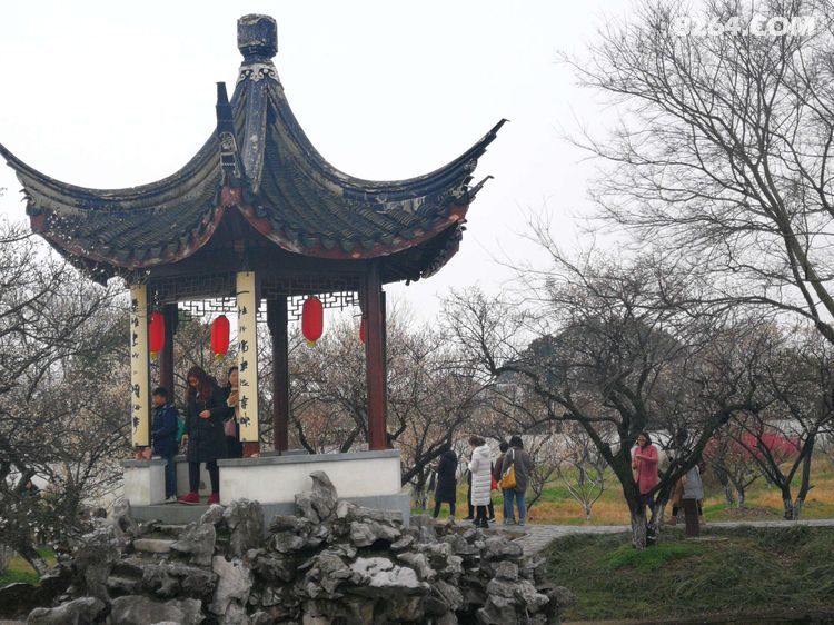自什么清高成语_成语故事简笔画(2)