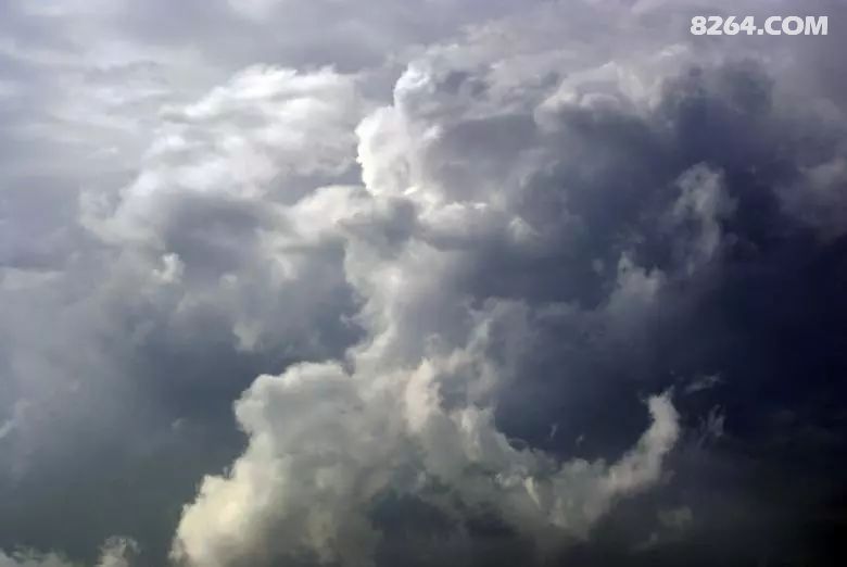 155481171231.jpg!t3w825h0