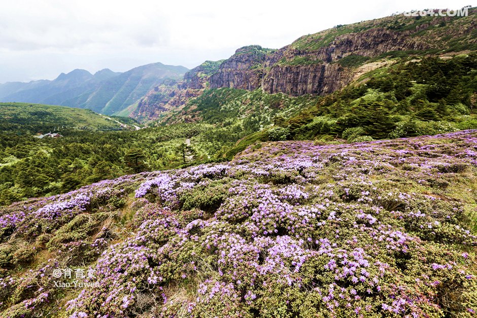 离昆明最近的轿子雪山,是我国纬度最低的