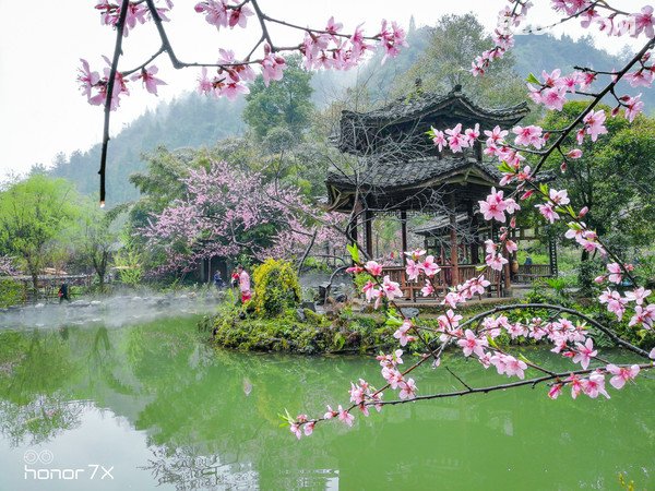 春游记--从世外桃源到烟花江南