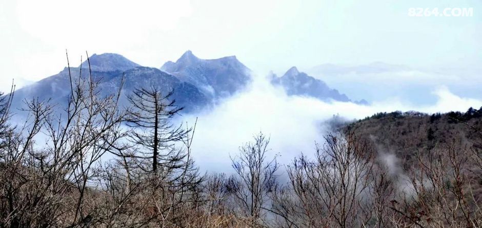 回大寺 - 陕西 - 8264户外手机版