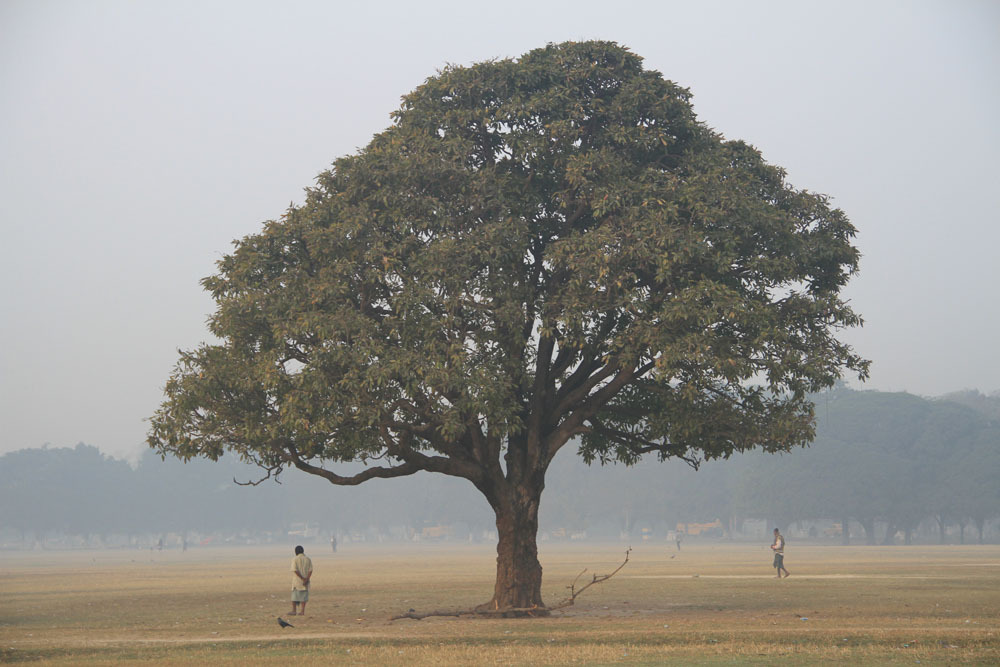 2012冬印度21日自助游