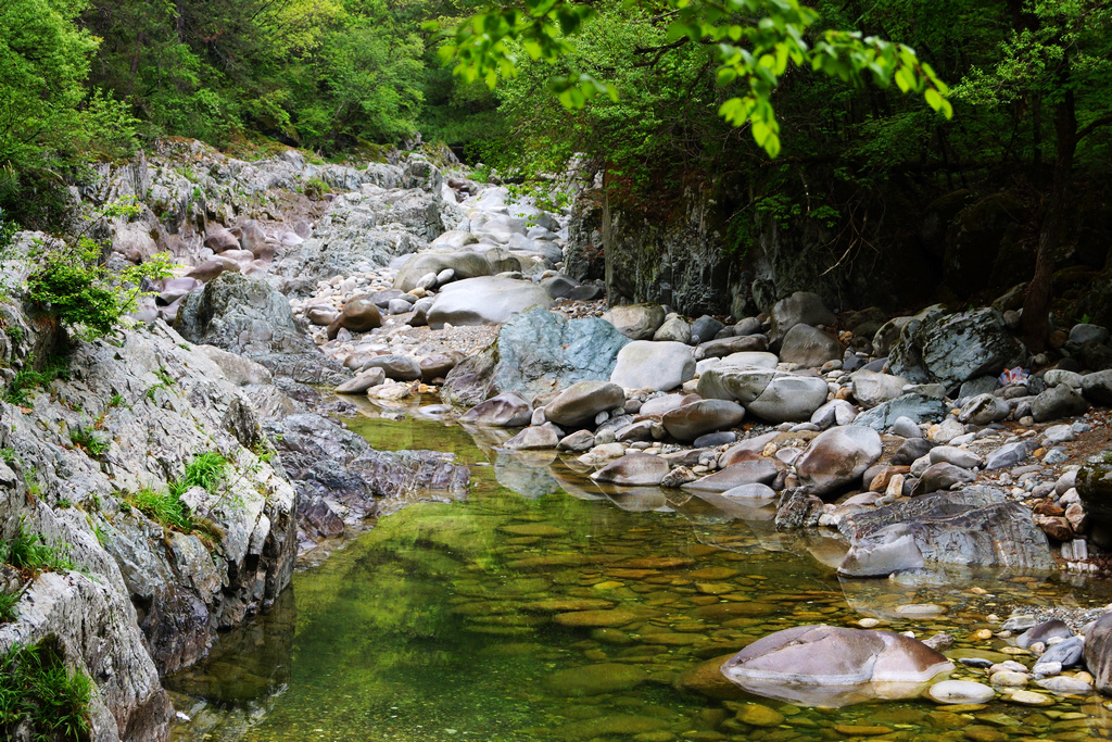 清澈见底的河水源源不断地流淌着