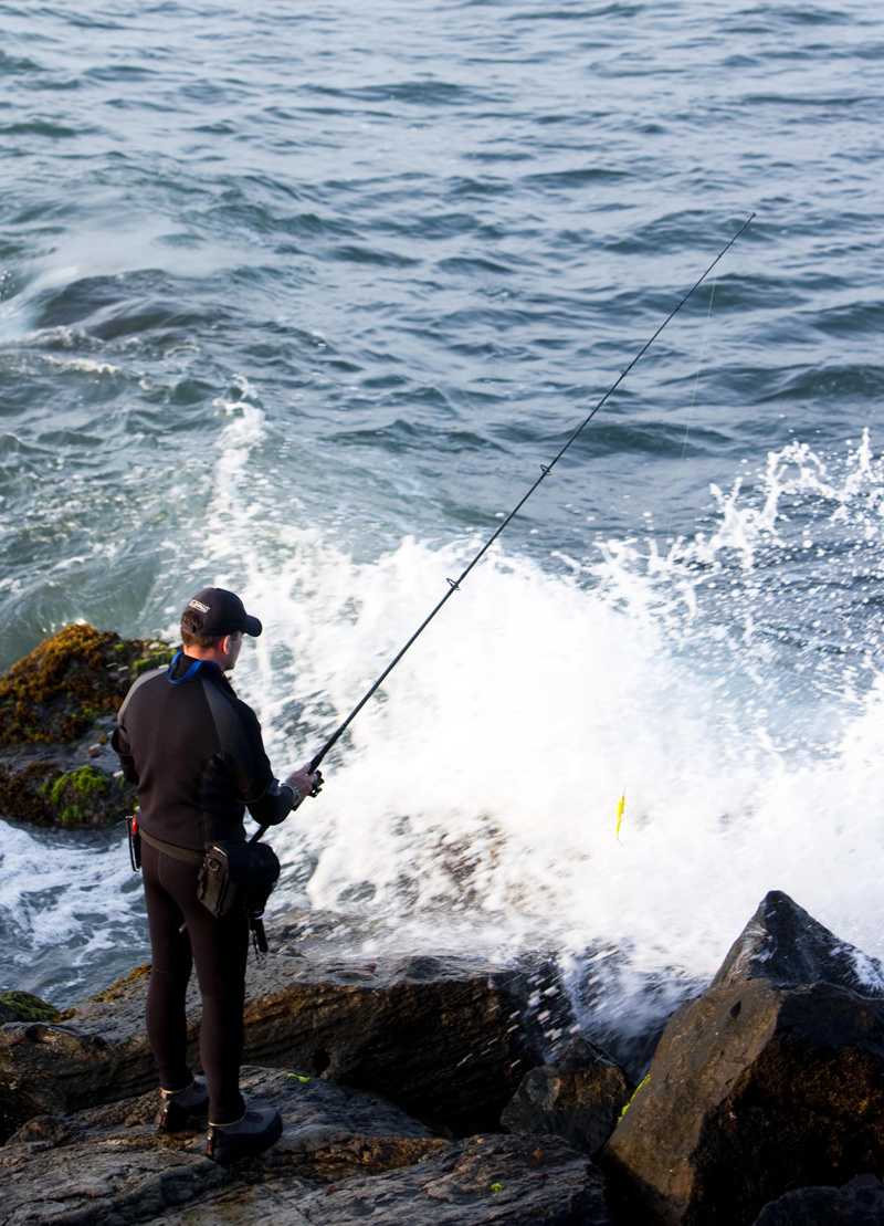 看到海边一个孤独的钓者
