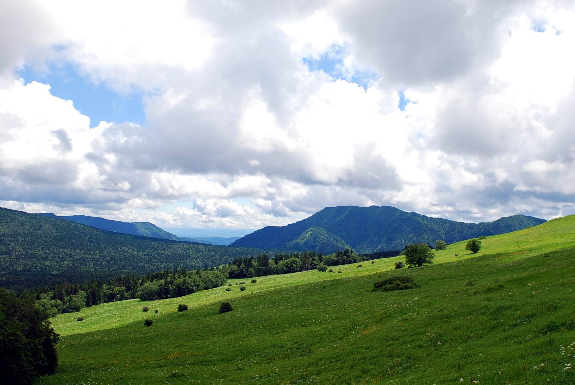 长白山高山湿地花园穿越望天鹅天池鸭绿江大峡谷游览远摄朝鲜惠山市