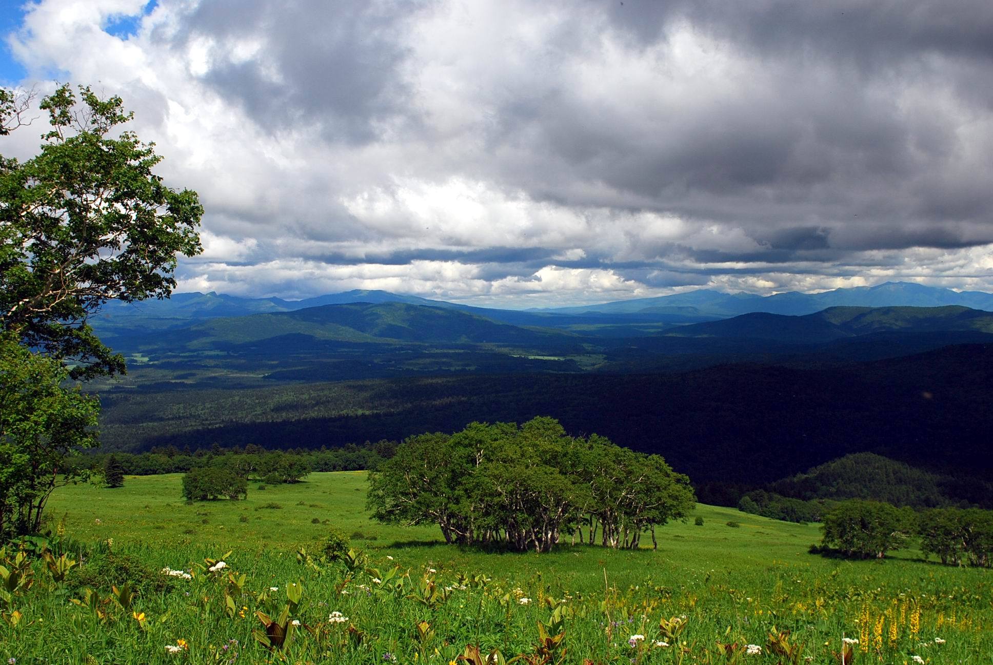长白山高山湿地花园穿越望天鹅天池鸭绿江大峡谷游览远摄朝鲜惠山市