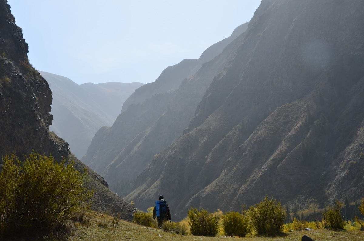 库尔楚大峡谷十一五天行程吃羊追狼腐败加自虐20页人物动物植物各种骚