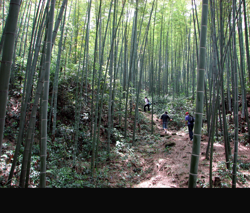 20130504周六爬燃灯山活动作业帖璧山