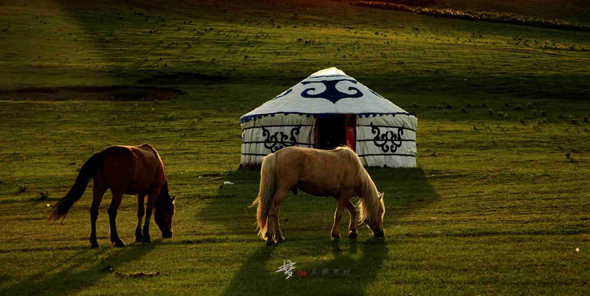 心灵的栖息地---内蒙古乌兰布统草原(红山军马场)及塞罕坝旅行攻略