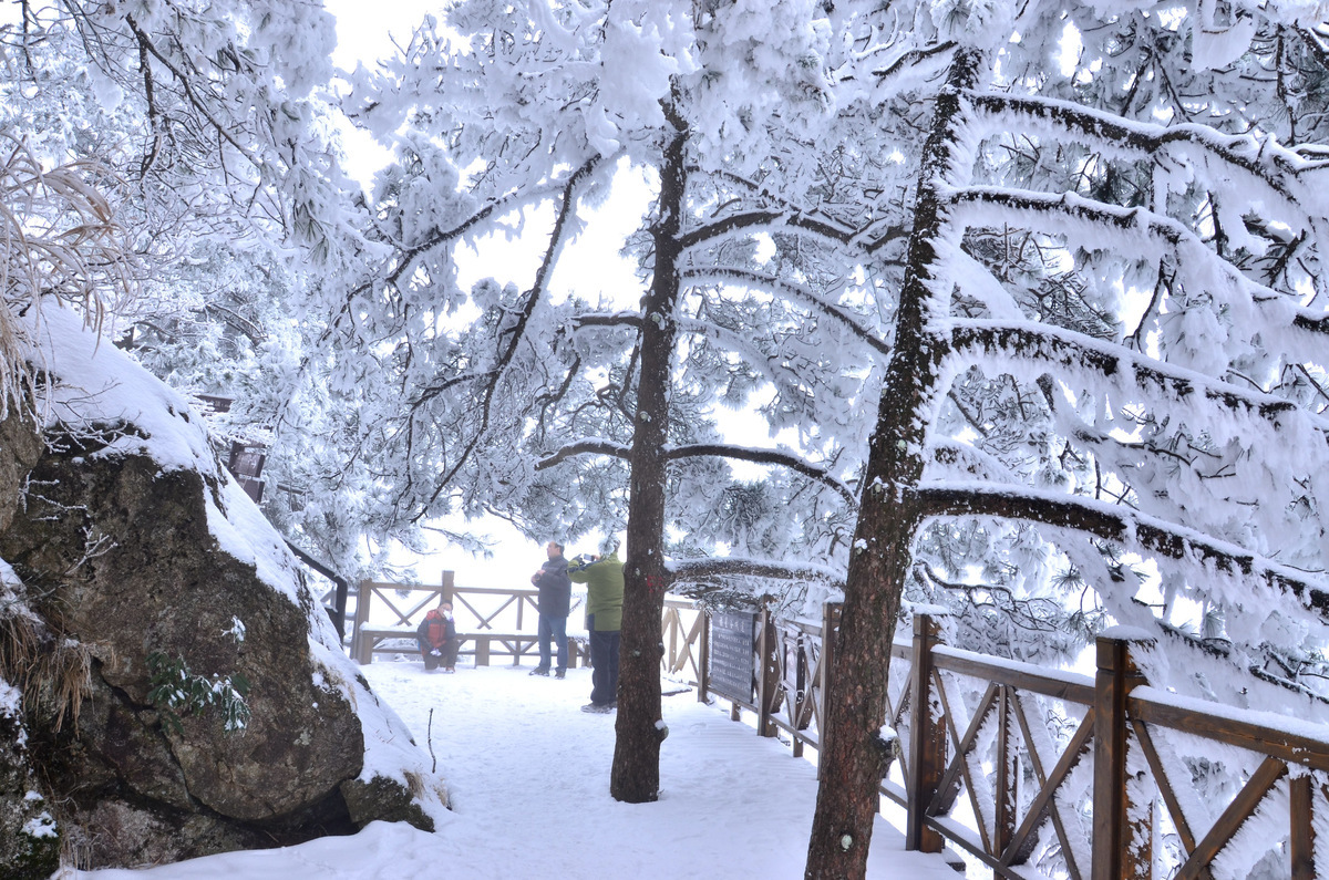 海量武功山雪景片,让你一次看个够 - 第2页 - 江西 - 8264户外
