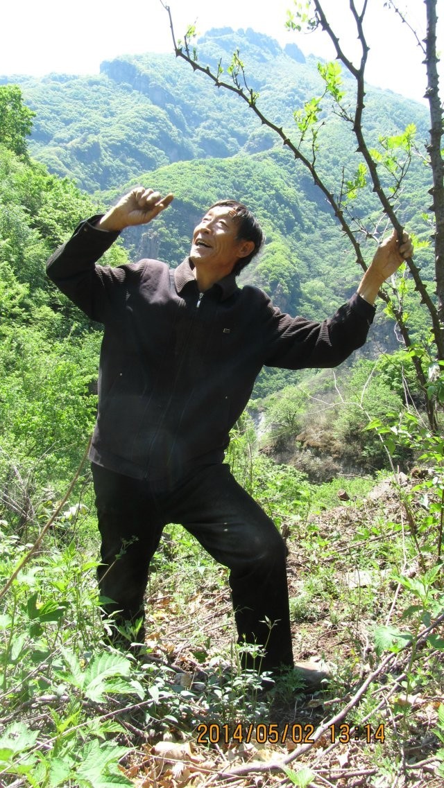 蘑菇峪天气预报预报