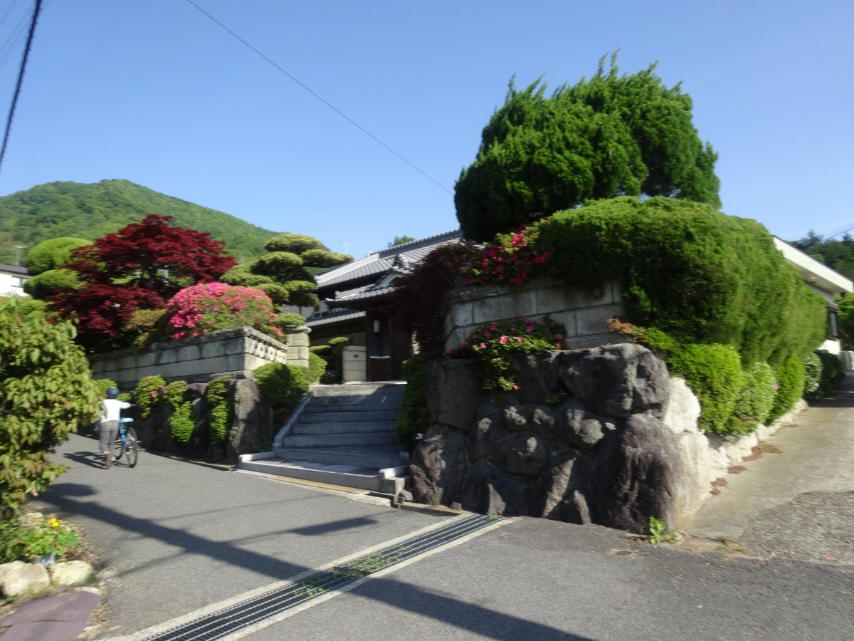 葛城山 - 8264.com