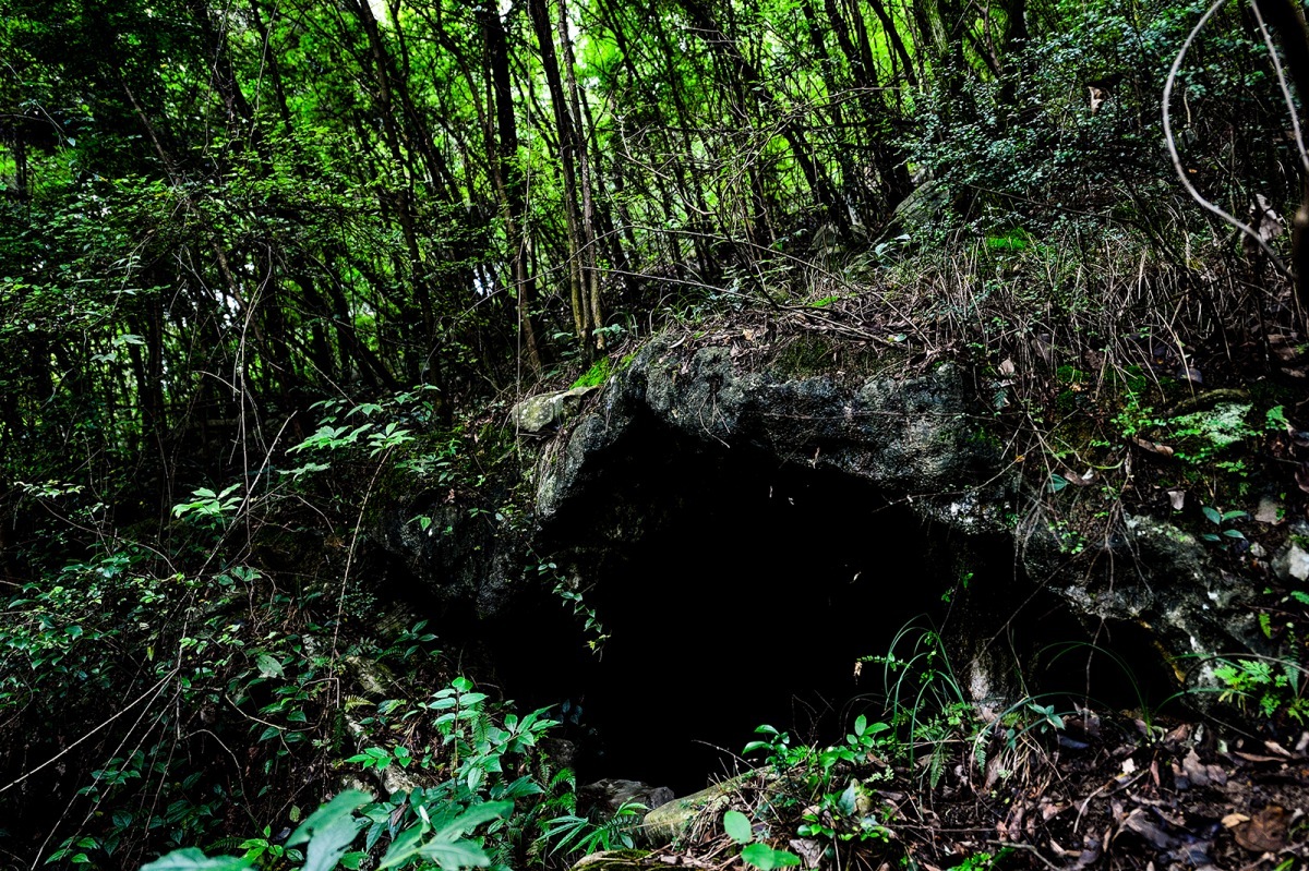 再次身处地穴洞口,和前次探洞时的感官落差稍大.