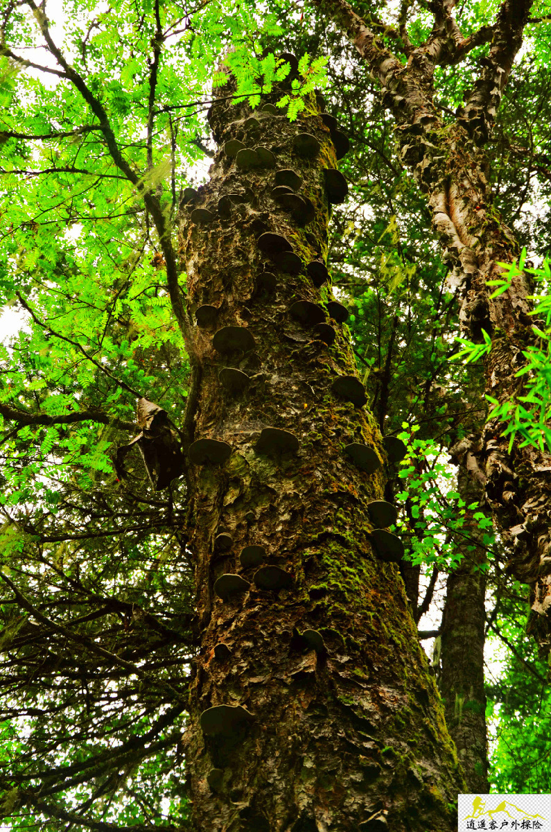 (千张海量图片每天不定时更新)