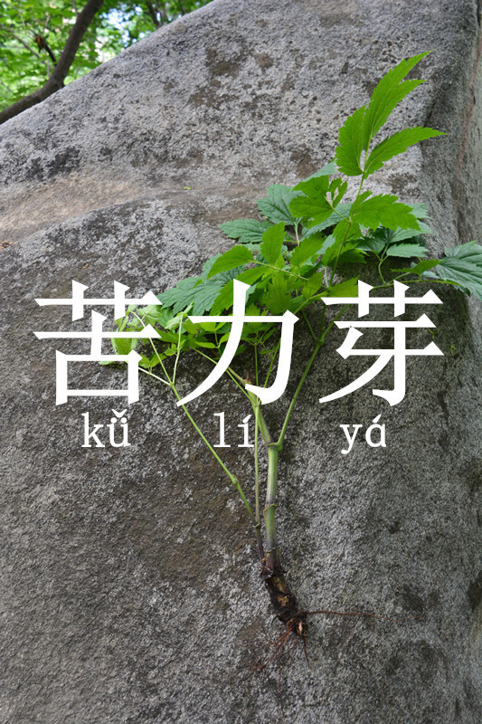 05-07 白道峪-云蒙峡-云蒙山主峰-七道沟,鱼汤之旅