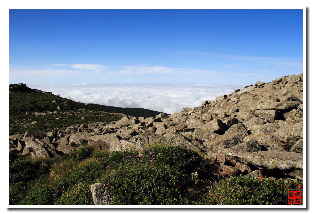 鳌山-身体和心灵释放的地方 - 第10页 - 陕西 - 8264户外
