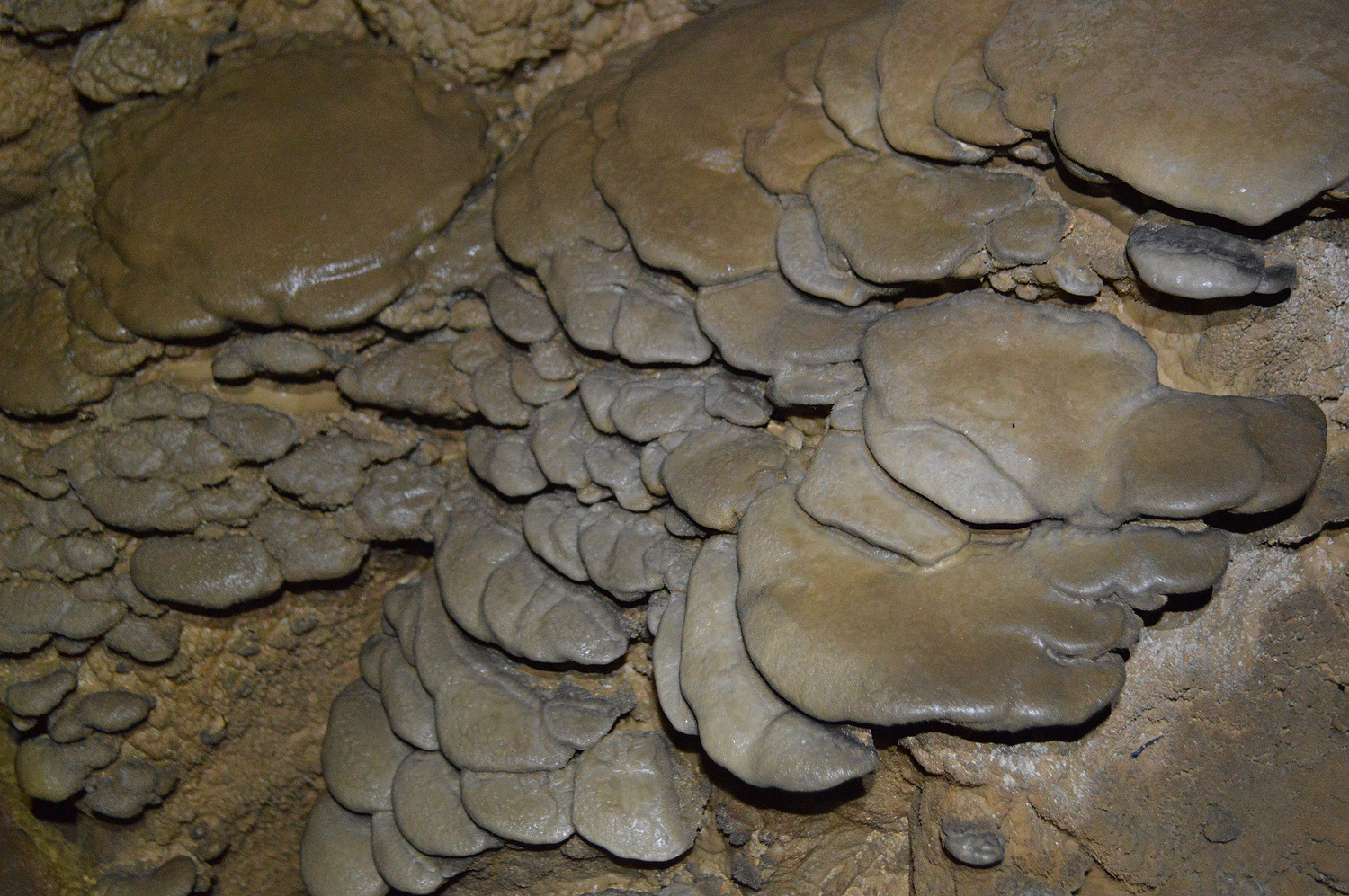 广西凤山县江洲地下长廊全段穿越 - 8264.com