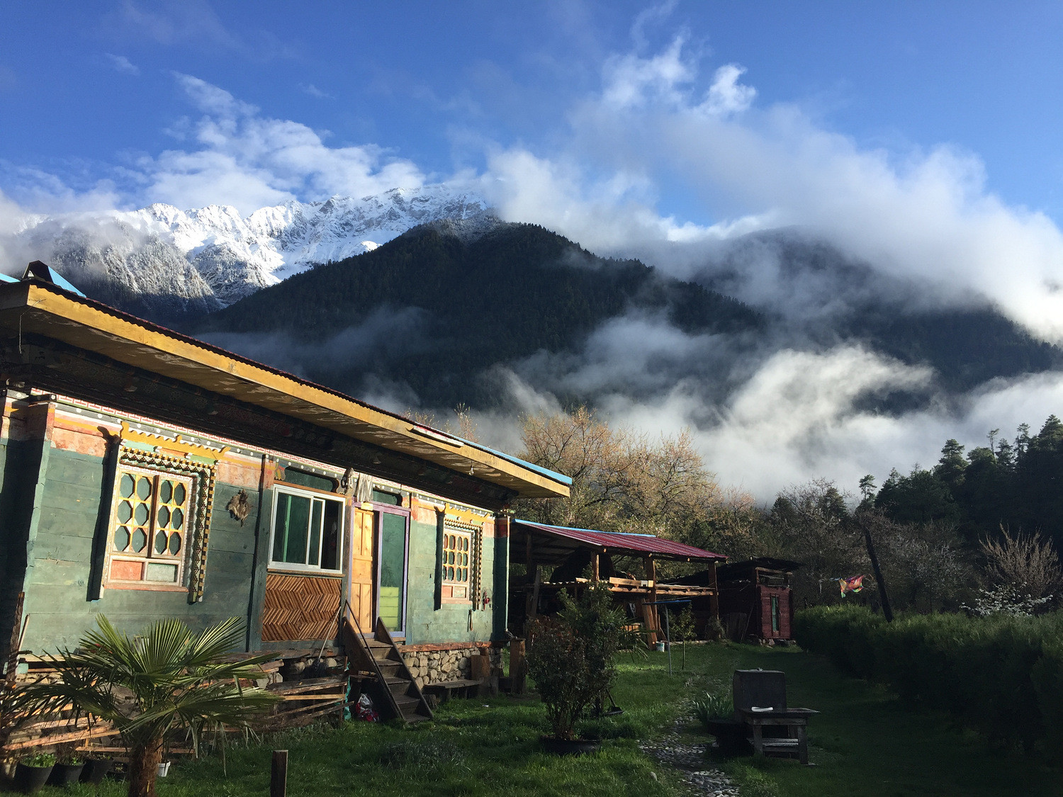 飞驰在318的你也许错过了波密古乡的岗云杉林刚才发错了不懂删除sorry