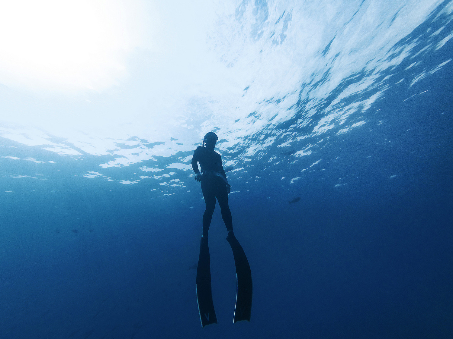 潜入深蓝-印度尼西亚潜水