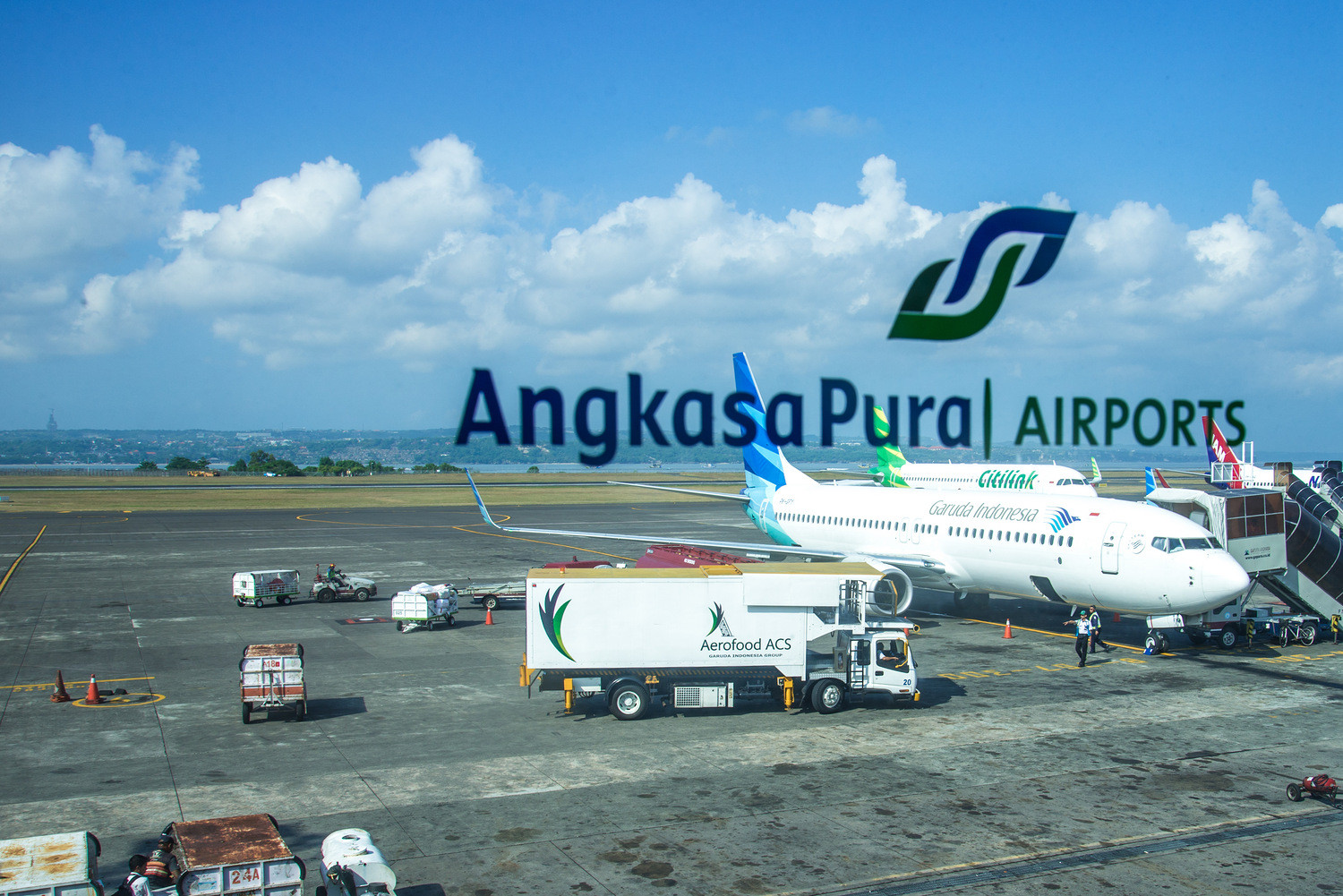 潜入深蓝-印度尼西亚潜水