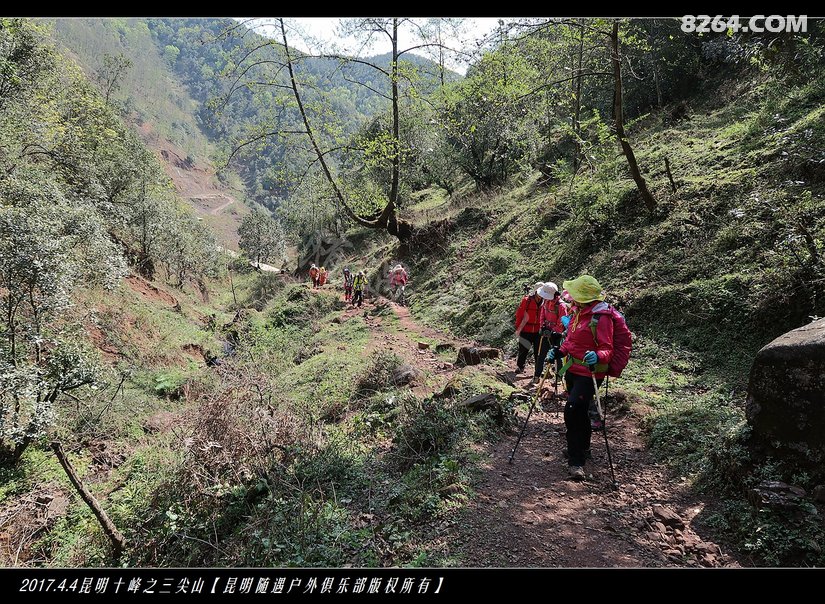 随遇户外清明节嵩明三尖山杜鹃之旅