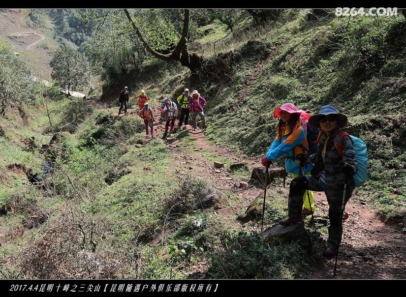 随遇户外清明节嵩明三尖山杜鹃之旅
