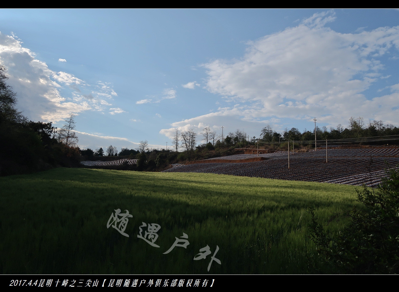 随遇户外清明节嵩明三尖山杜鹃之旅