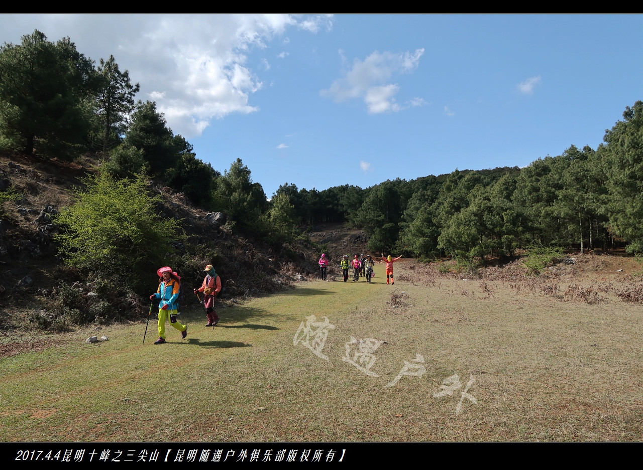 随遇户外清明节嵩明三尖山杜鹃之旅