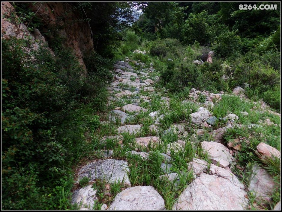 三撞南墙终不悔 一朝圆梦尽开颜 17.7.9