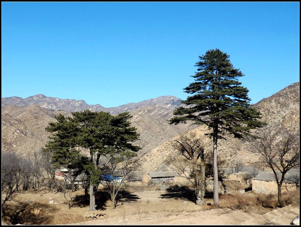 寒林萧萧疑无径,关山重重却有门——17年12月初黑山关散步 2