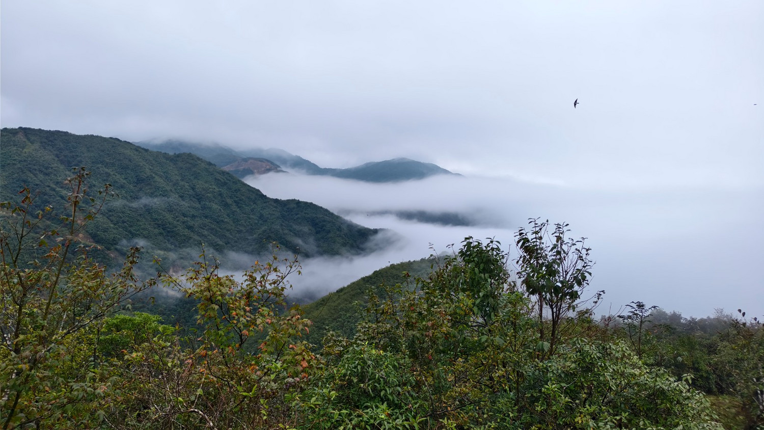 08250098isd7pi1ku03137 - 旅行杂谈 文化历史 民俗人文 交通贴士 在野 去没有天花板的地方