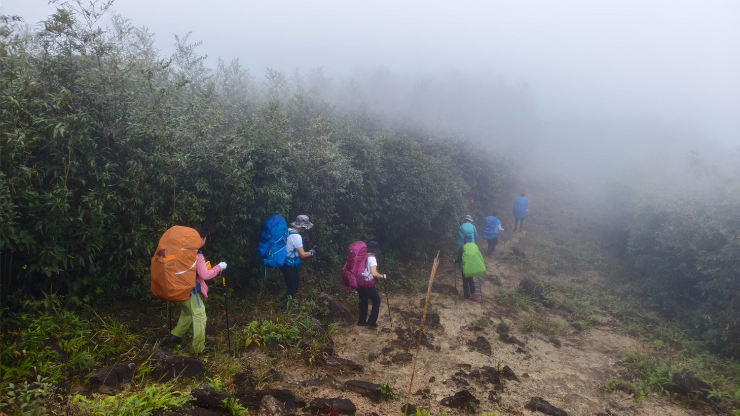 082500wq1336xmz0udqwau - 旅行杂谈 文化历史 民俗人文 交通贴士 在野 去没有天花板的地方