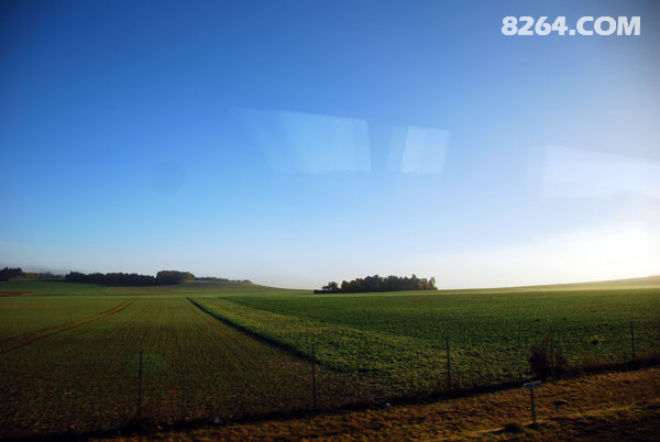 DSC_0044.JPG