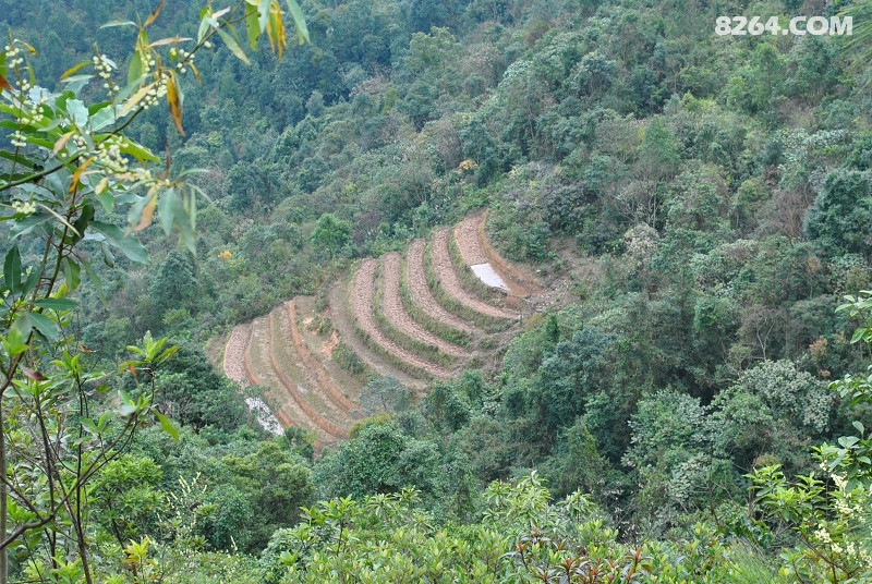DSC_0205.jpg