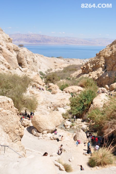 221701_10150171416508290_550348289_6700166_6635381_n.jpg