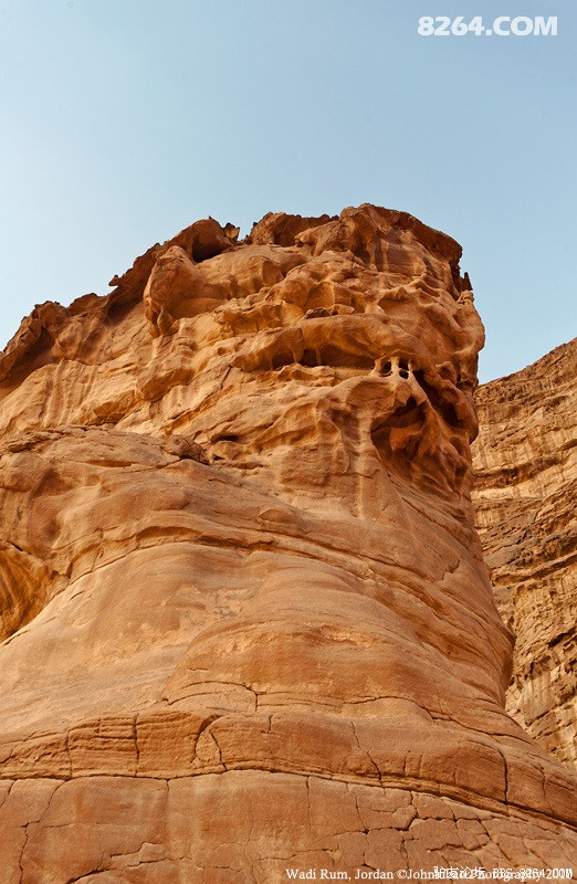 _DSC6565.jpg