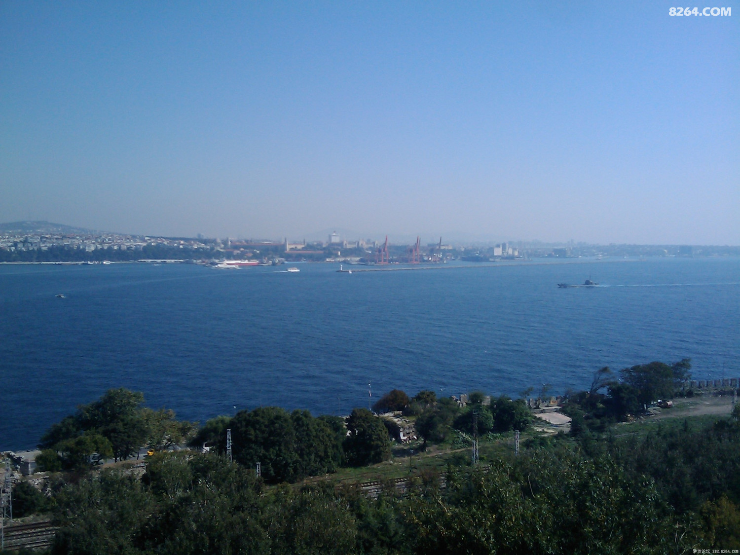 IMAGE_150.jpg