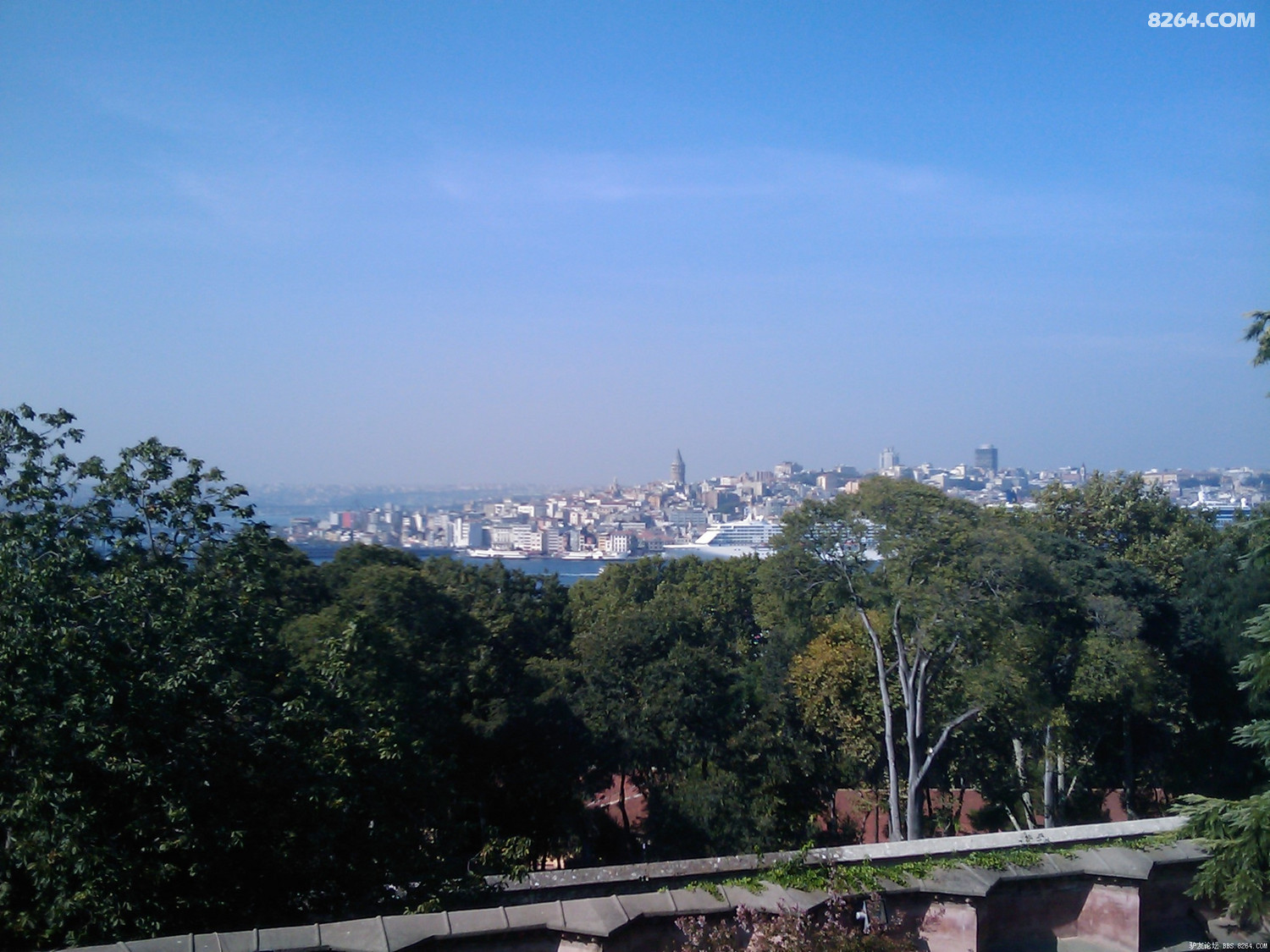 IMAGE_163.jpg