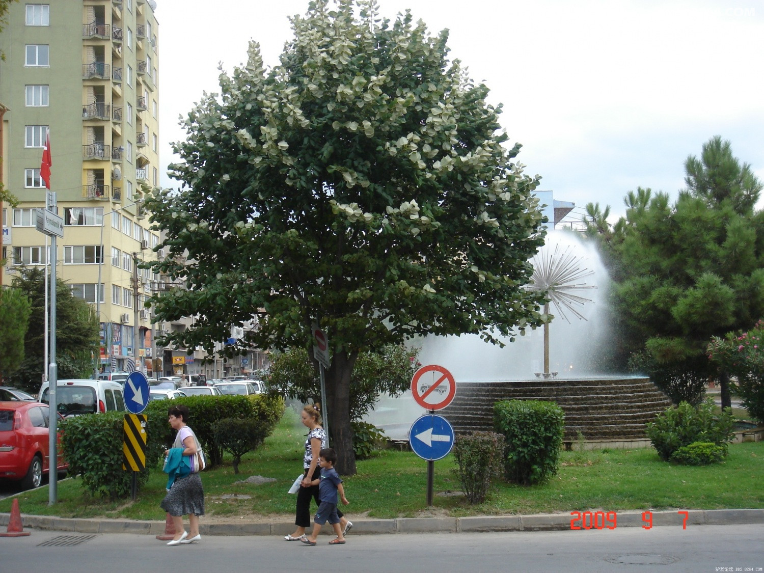 DSC04548.JPG