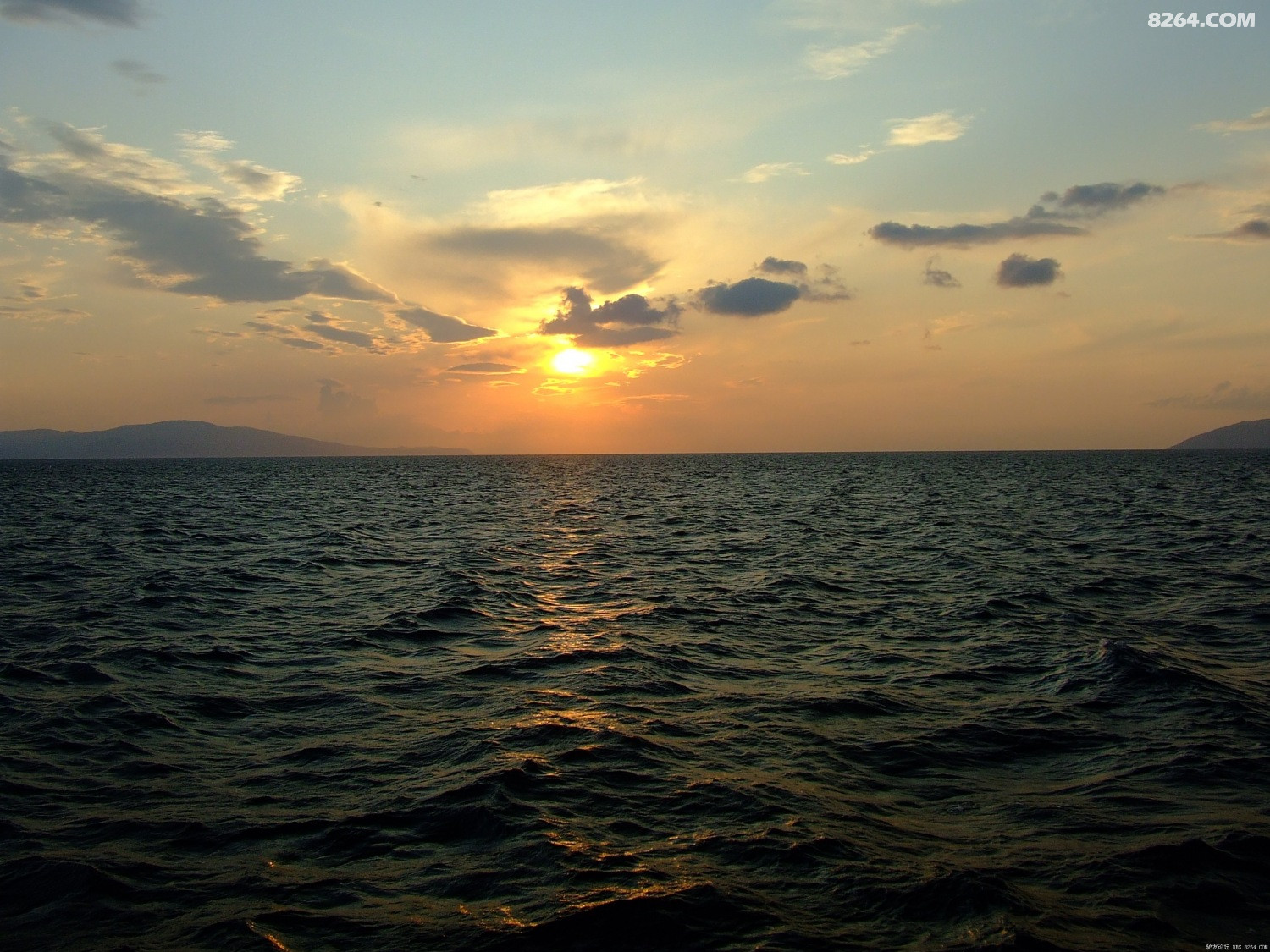 DSCF2990.JPG