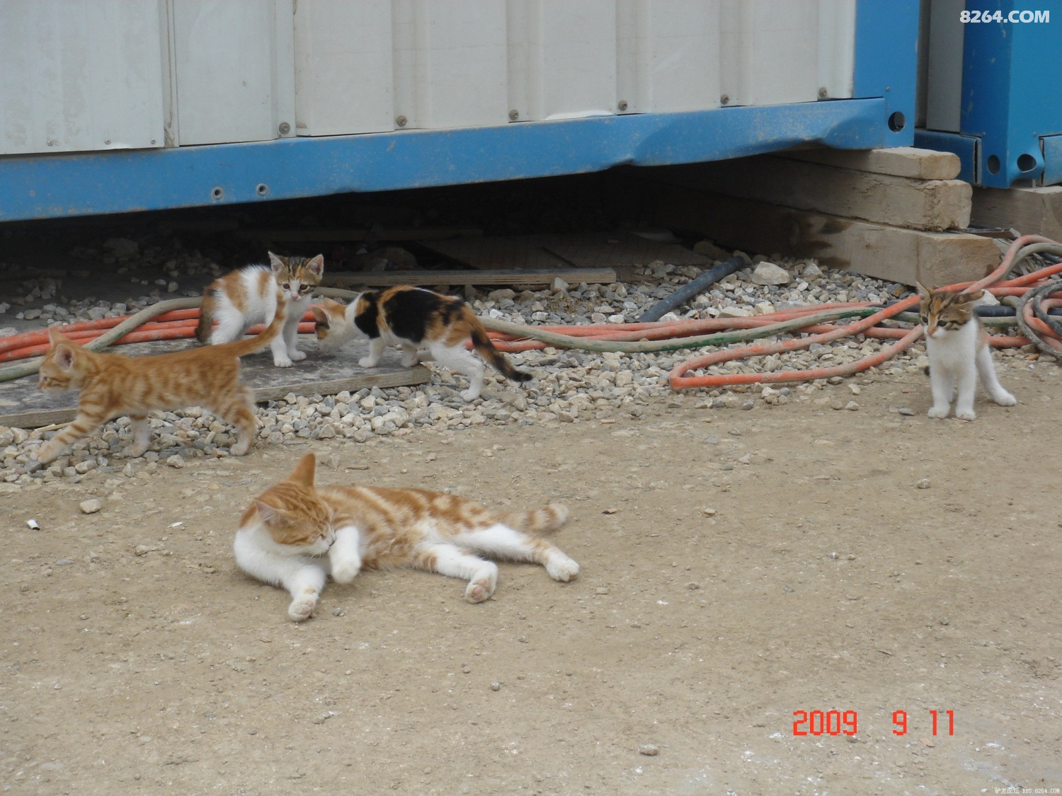 DSC04651.JPG