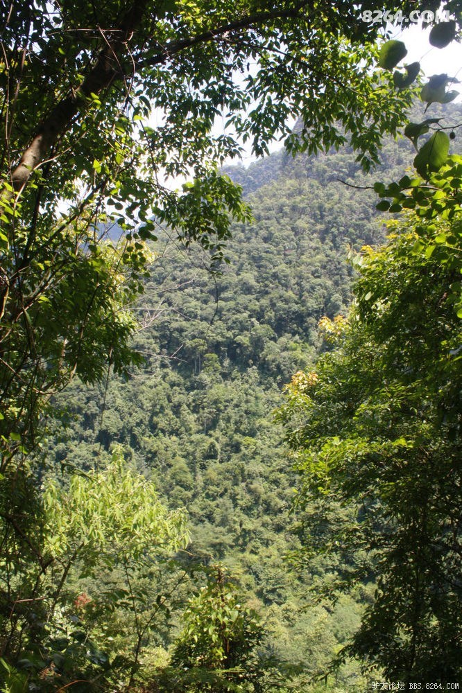 清凉之旅——环江文雅天坑探秘