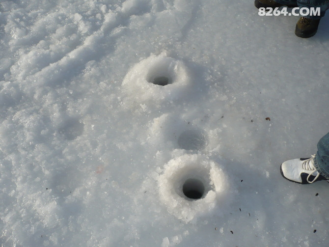 http_imgload (11).jpg