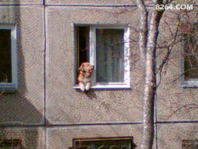 http_imgload (13).jpg