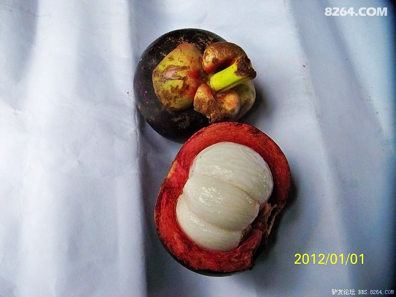 ɽڹڼ۸񲻷Խϲ8ԪֻǺزôź