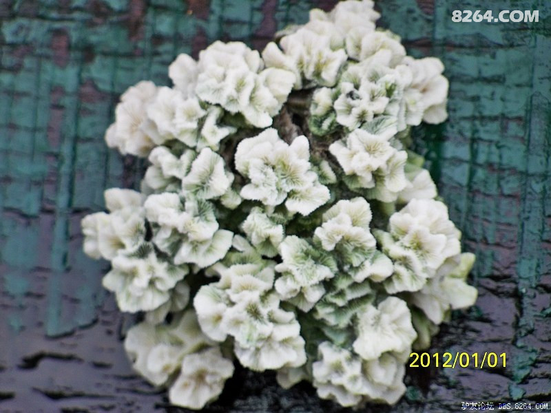 ͬСһ飬ֻ4Խܣ12Ԫ²ôعû