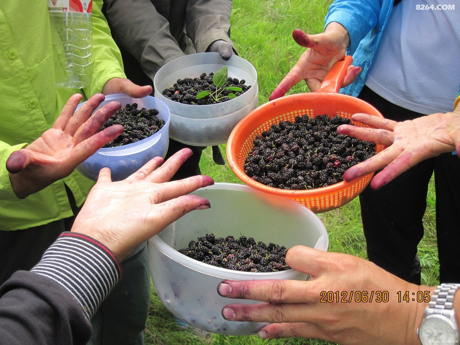 ��Ƭ 153.jpg