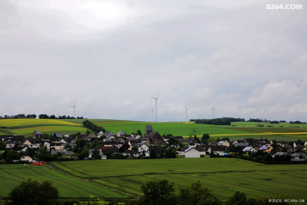 IMG_2477.JPG