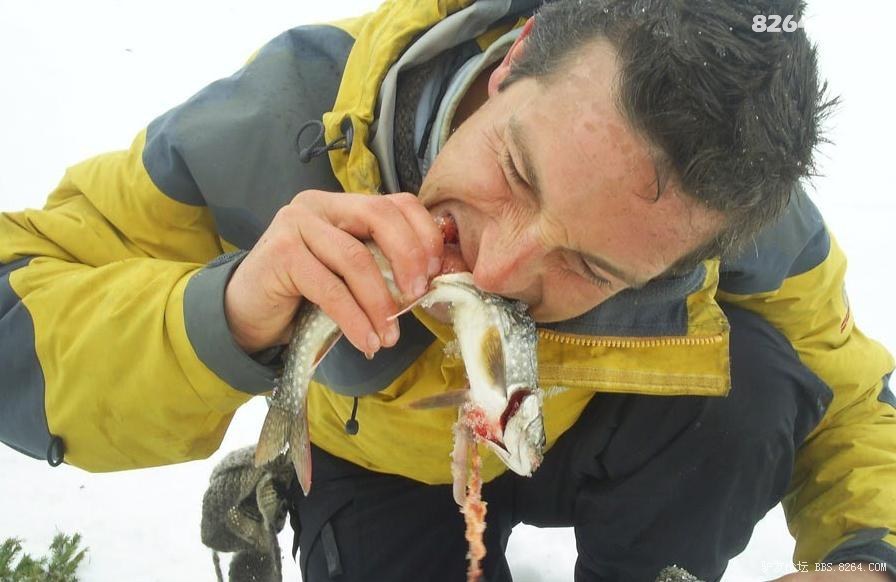 求生传奇人物贝尔格里尔斯请看35楼后有幕后故事解密走进真实的贝爷