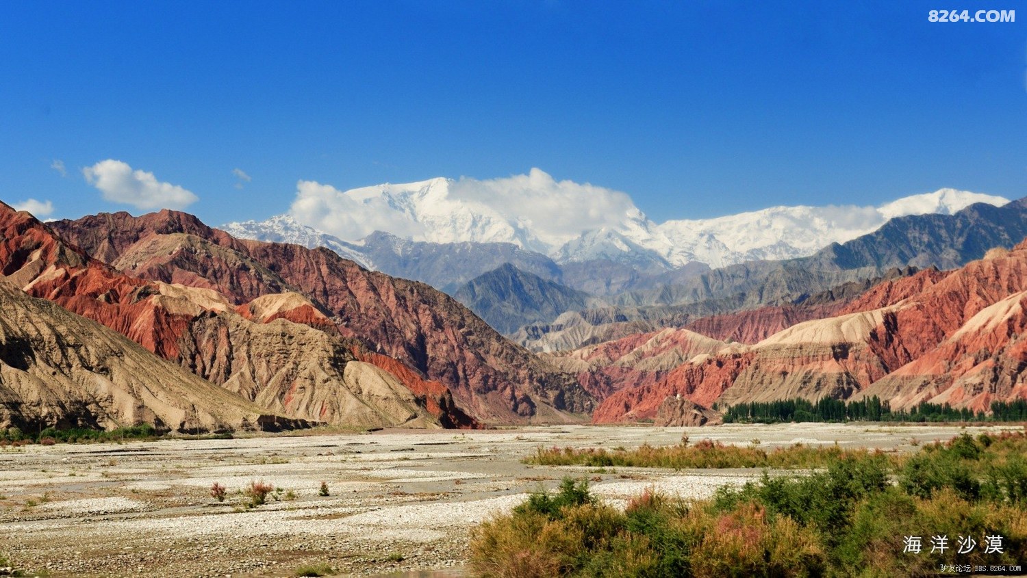 5-DSC_2456.jpg